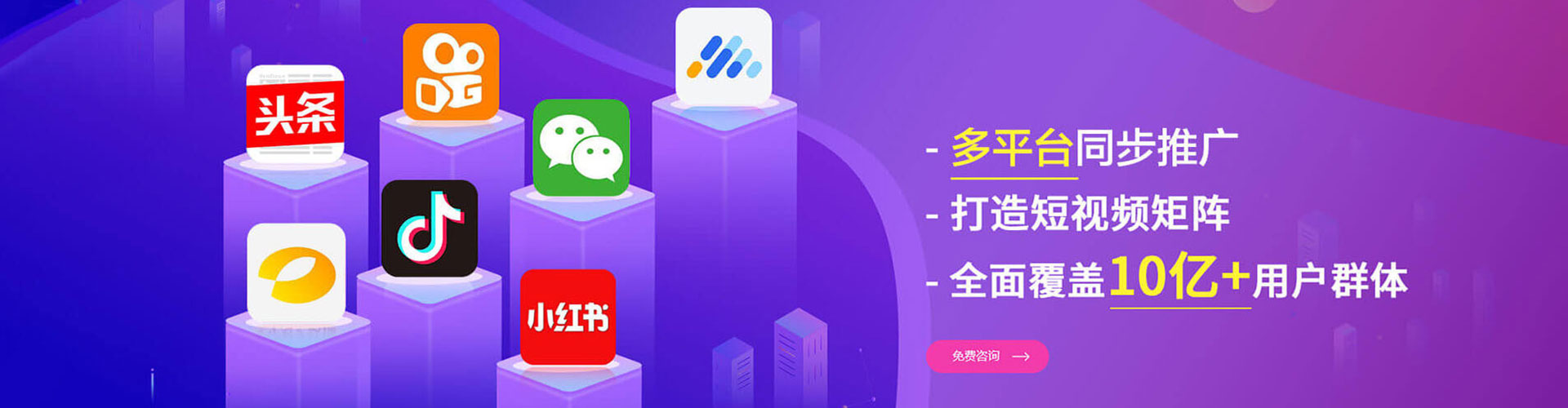 西平信息流代运营